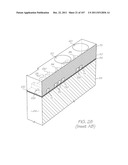 MICROFLUIDIC DEVICE FOR ELECTROCHEMILUMINESCENT DETECTION OF TARGET     SEQUENCES diagram and image