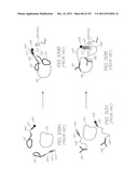 MICROFLUIDIC DEVICE FOR ELECTROCHEMILUMINESCENT DETECTION OF TARGET     SEQUENCES diagram and image