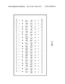 HDL Particles for Delivery of Nucleic Acids diagram and image