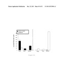 BChE ALBUMIN FUSIONS FOR THE TREATMENT OF COCAINE ABUSE diagram and image