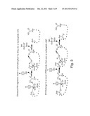 METHOD FOR IDENTIFYING AGENTS FOR INHIBITING CELL MOTILITY AND     INVASIVENESS diagram and image