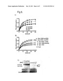 METHOD FOR IDENTIFYING AGENTS FOR INHIBITING CELL MOTILITY AND     INVASIVENESS diagram and image