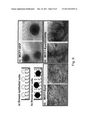 METHOD FOR IDENTIFYING AGENTS FOR INHIBITING CELL MOTILITY AND     INVASIVENESS diagram and image