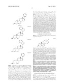 NOVEL STEROIDAL CYP17 INHIBITORS/ANTIANDROGENS diagram and image