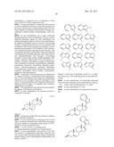 NOVEL STEROIDAL CYP17 INHIBITORS/ANTIANDROGENS diagram and image