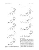 NOVEL STEROIDAL CYP17 INHIBITORS/ANTIANDROGENS diagram and image