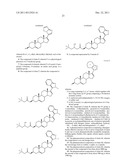 NOVEL STEROIDAL CYP17 INHIBITORS/ANTIANDROGENS diagram and image