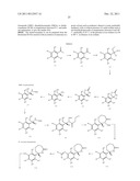 2,5,6,7-TETRAHYDRO-[1,4]OXAZEPIN-3-YLAMINE OR     2,3,6,7-TETRAHYDRO-[1,4]OXAZEPIN-5-YLAMINE COMPOUNDS diagram and image