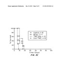 COMBINATION OF LOCAL TEMOZOLOMIDE WITH LOCAL BCNU diagram and image