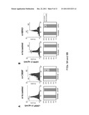 DOWN-REGULATION OF COLD SHOCK PROTEINS FOR CANCER TREATMENT diagram and image