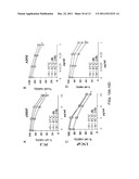 DOWN-REGULATION OF COLD SHOCK PROTEINS FOR CANCER TREATMENT diagram and image