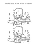 APPARATUS AND METHOD FOR TARGETING A BODY TISSUE diagram and image