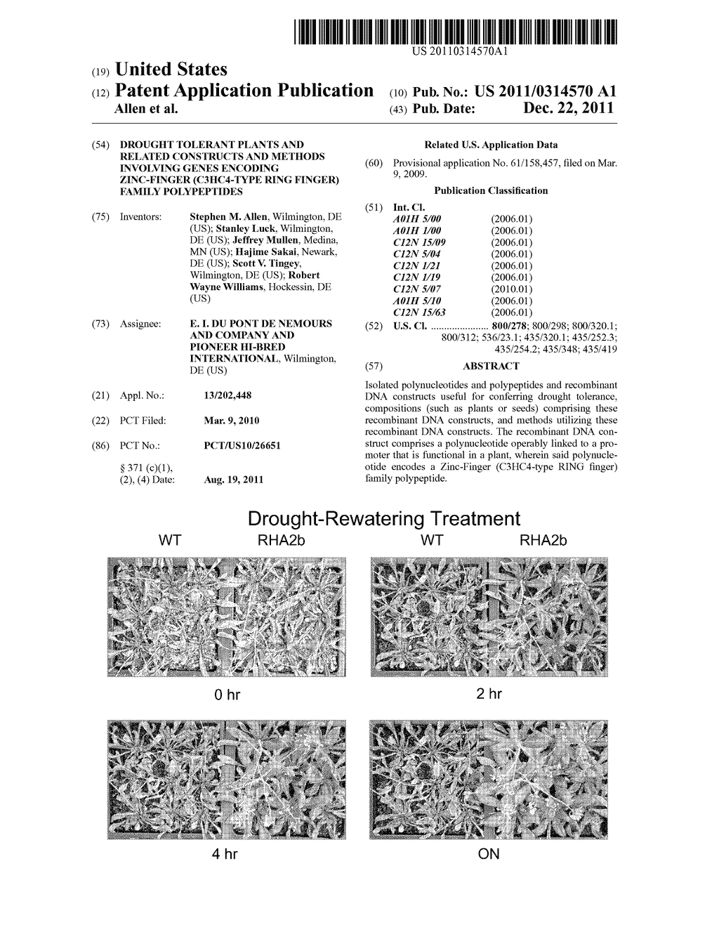 DROUGHT TOLERANT PLANTS AND RELATED CONSTRUCTS AND METHODS INVOLVING GENES     ENCODING ZINC-FINGER (C3HC4-TYPE RING FINGER)  FAMILY POLYPEPTIDES - diagram, schematic, and image 01