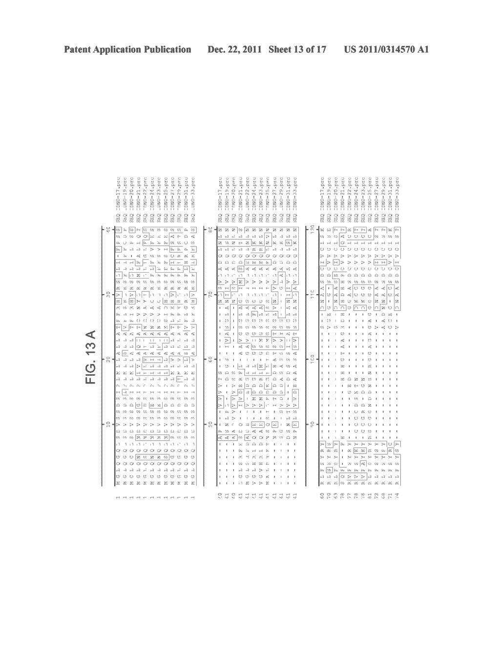 DROUGHT TOLERANT PLANTS AND RELATED CONSTRUCTS AND METHODS INVOLVING GENES     ENCODING ZINC-FINGER (C3HC4-TYPE RING FINGER)  FAMILY POLYPEPTIDES - diagram, schematic, and image 14