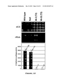 COTTON PLANT WITH SEED-SPECIFIC REDUCTION IN GOSSYPOL diagram and image