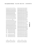 COTTON PLANT WITH SEED-SPECIFIC REDUCTION IN GOSSYPOL diagram and image