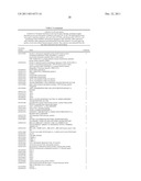 SCREENING METHOD FOR IDENTIFYING GENES INVOLVED IN PLANT CELL CYCLE diagram and image