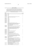 SCREENING METHOD FOR IDENTIFYING GENES INVOLVED IN PLANT CELL CYCLE diagram and image