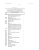 SCREENING METHOD FOR IDENTIFYING GENES INVOLVED IN PLANT CELL CYCLE diagram and image