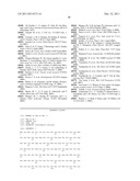 SCREENING METHOD FOR IDENTIFYING GENES INVOLVED IN PLANT CELL CYCLE diagram and image