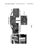 Conductive Polymer on a Textured or Plastic Substrate diagram and image