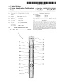 PLUG DEVICE AND METHOD OF USING SAME diagram and image