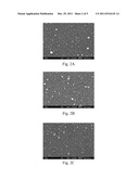 NANO/MICRO-STRUCTURE AND FABRICATION METHOD THEREOF diagram and image