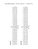 IMAGE FORMING APPARATUS diagram and image