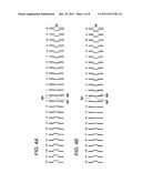 IMAGE FORMING APPARATUS diagram and image