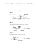 MEMORY SYSTEM, MEMORY MODULE, AND MODULE SOCKET diagram and image