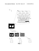 DISPLAY BACKLIGHTS WITH ADJUSTABLE NARROW VIEWING ANGLE diagram and image