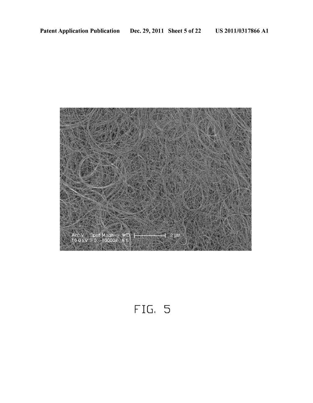 LOUDSPEAKER INCORPORATING CARBON NANOTUBES - diagram, schematic, and image 06