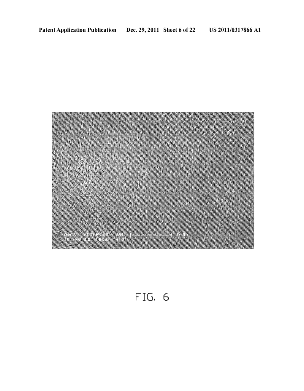 LOUDSPEAKER INCORPORATING CARBON NANOTUBES - diagram, schematic, and image 07