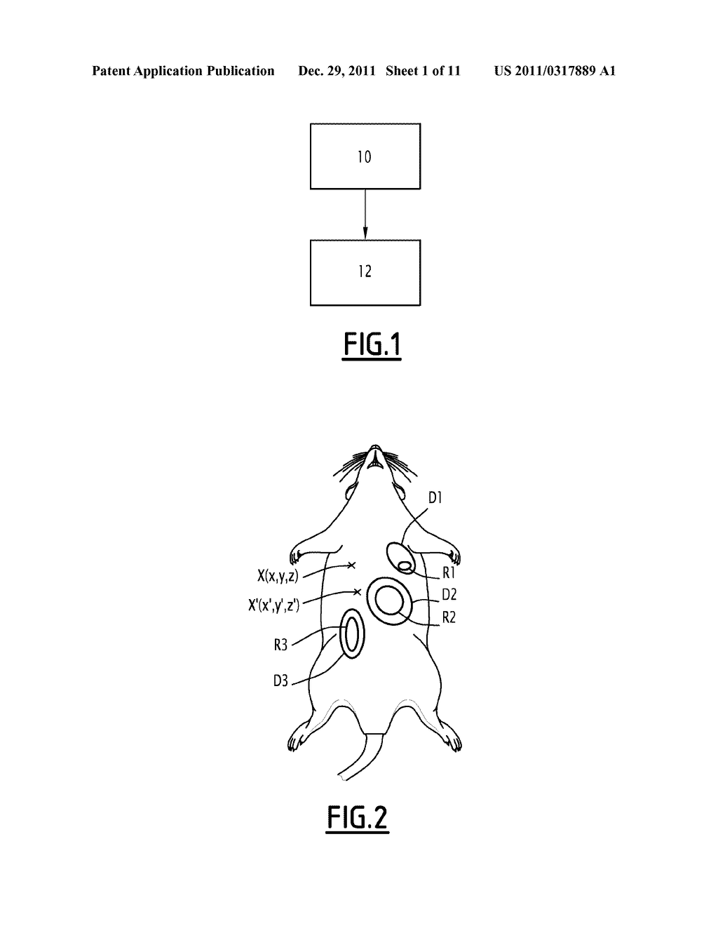 METHOD FOR ESTIMATING THE CONCENTRATION OF A TRACER IN A TISSUE STRUCTURE     ASSEMBLY, AND CORRESPONDING STORAGE MEDIUM AND DEVICE - diagram, schematic, and image 02