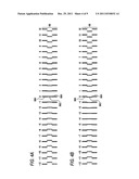 IMAGE FORMING APPARATUS diagram and image