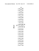 IMAGE FORMING APPARATUS diagram and image