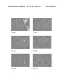 Lactobacillus Salivarius SG-M6 for Improving Oral Bacterial Groups and     Health Care Compositions Thereof diagram and image