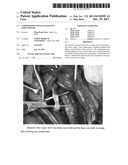 Composition for Accelerating Nerve Repair diagram and image