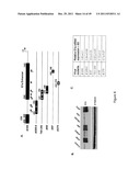 TUMOR-SELECTIVE E1A AND E1B MUTANTS diagram and image