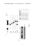 TUMOR-SELECTIVE E1A AND E1B MUTANTS diagram and image