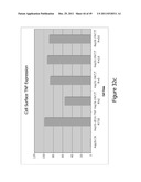 TUMOR-SELECTIVE E1A AND E1B MUTANTS diagram and image