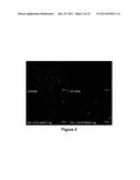 Modulation of Splenocytes in Cell Therapy for Traumatic Brain Injury diagram and image