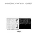 Modulation of Splenocytes in Cell Therapy for Traumatic Brain Injury diagram and image