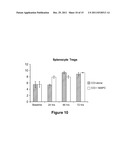 Modulation of Splenocytes in Cell Therapy for Traumatic Brain Injury diagram and image