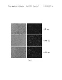 Nanoparticles and Use Thereof diagram and image