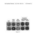 Nanoparticles and Use Thereof diagram and image