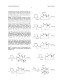 TAXANE ANALOGS FOR THE TREATMENT OF BRAIN CANCER diagram and image