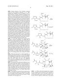 TAXANE ANALOGS FOR THE TREATMENT OF BRAIN CANCER diagram and image