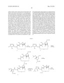 TAXANE ANALOGS FOR THE TREATMENT OF BRAIN CANCER diagram and image