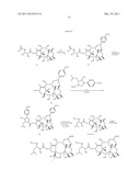 TAXANE ANALOGS FOR THE TREATMENT OF BRAIN CANCER diagram and image